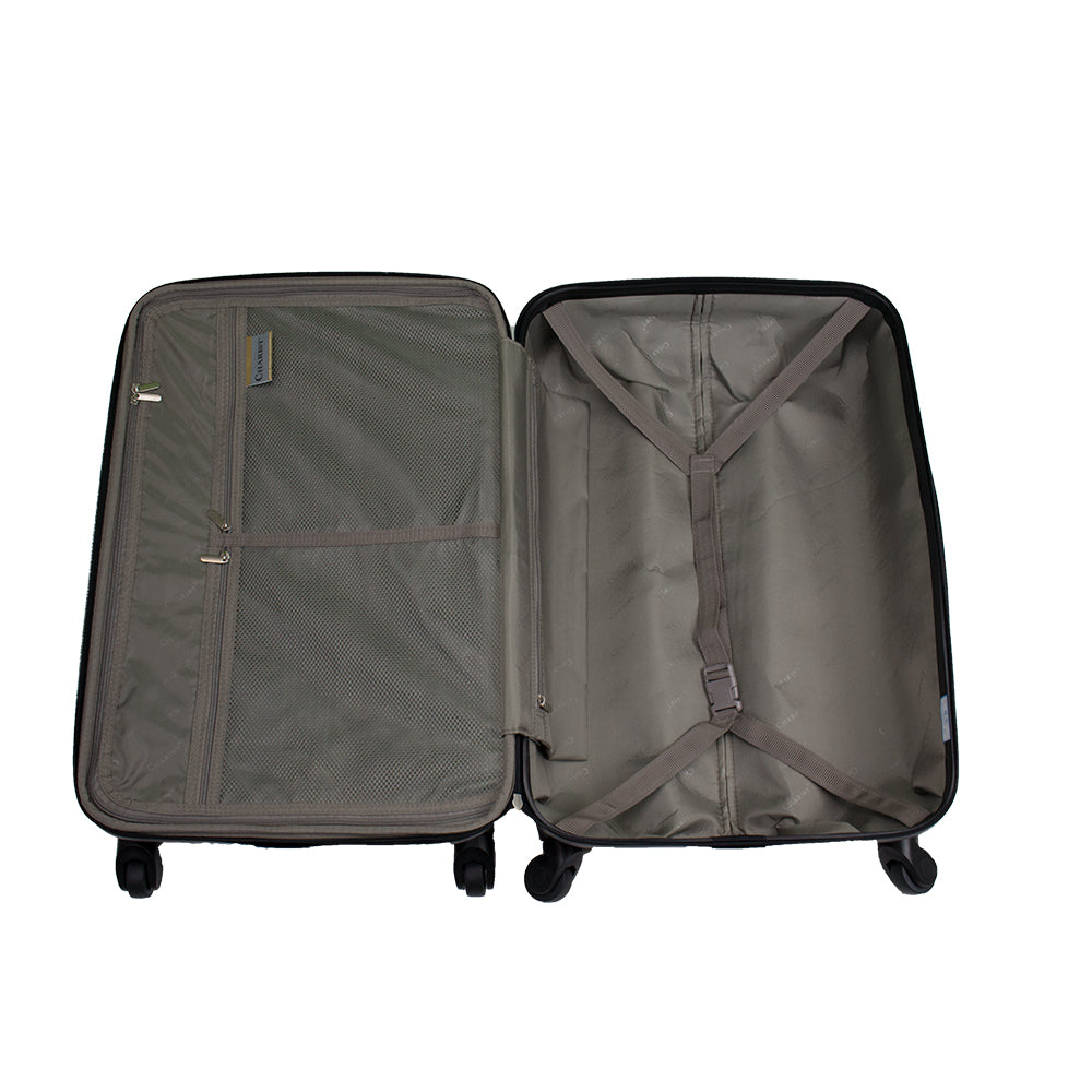 Chariot Dogs 3-Piece Hardside Lightweight Upright Spinner Luggage Set