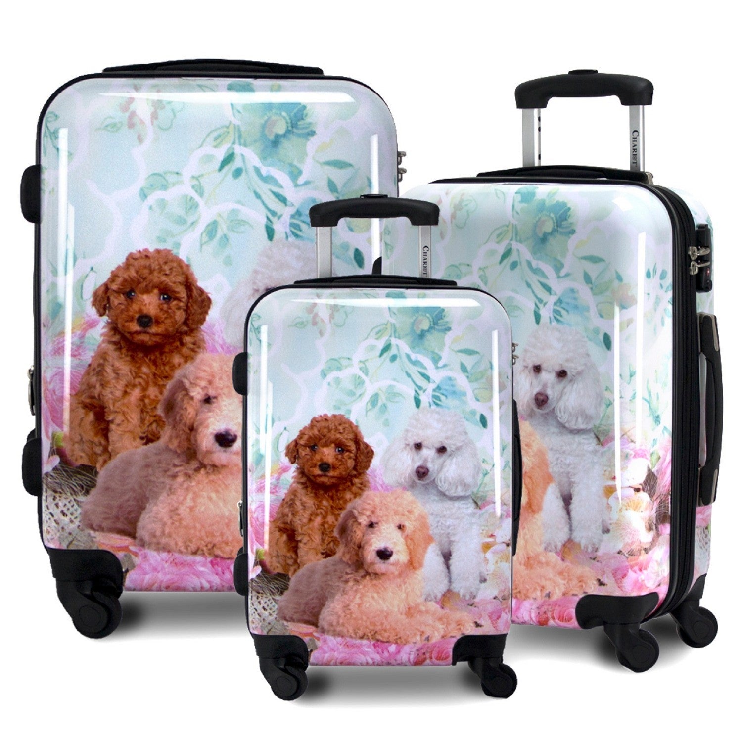 Chariot Printed 3-Piece Expandable Hardside Spinner Luggage Set - Garden Poodle